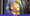 Muita gente gostou de ver bolsonaristas caladinhos, pelo menos por um dia